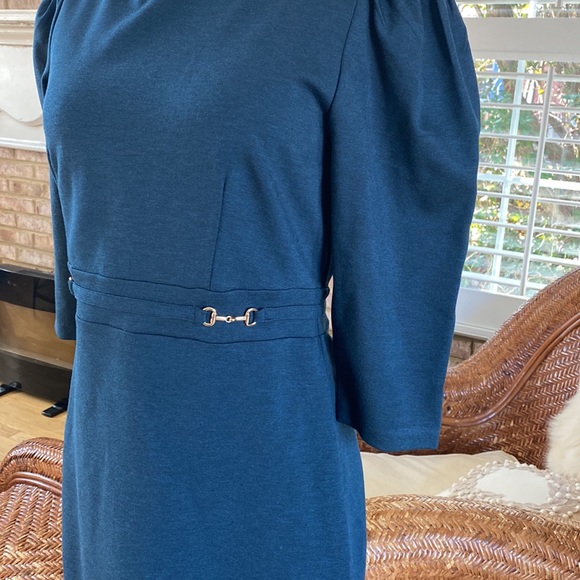 ANN TAYLOR PETITE BIT EQUESTRIAN HORSES 3/4 SLEEVE DRESS 6 P NEW - Picture 5 of 11